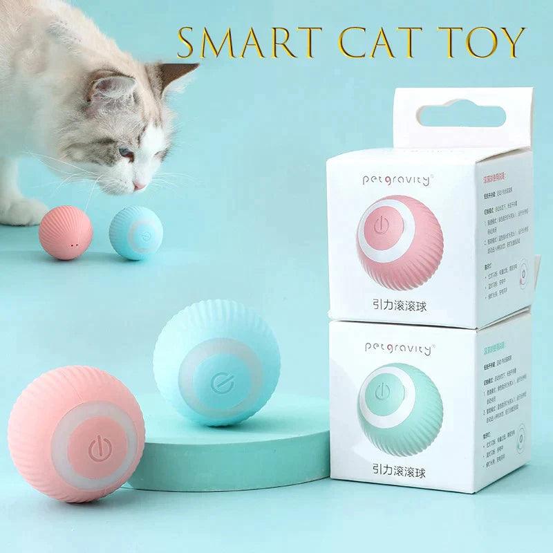 Bolinha interativa para gatos - makshopp